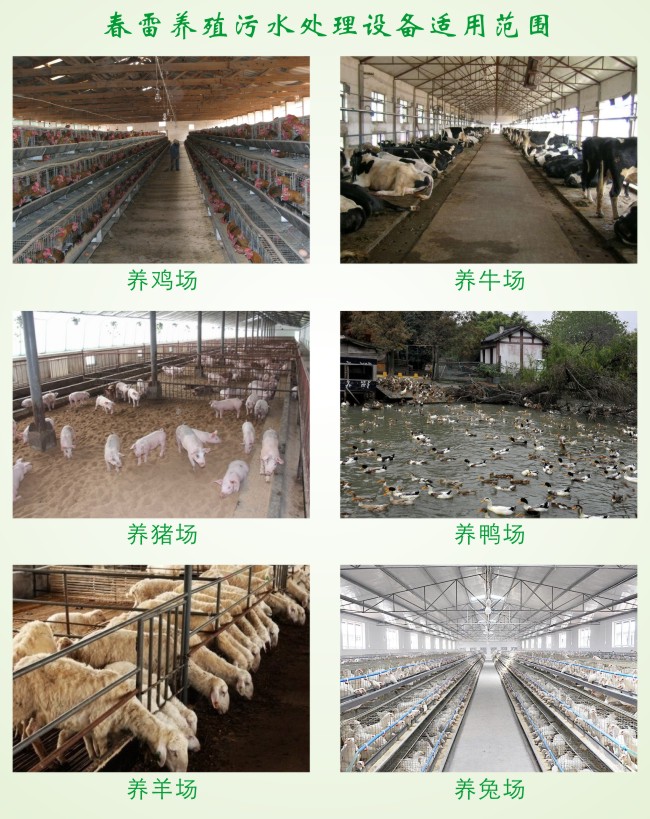春雷环境养殖污水处理设备适用范围 春雷环境养殖污水处理设备适用范围